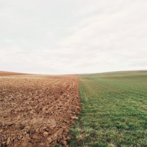 Abundance Mindset Shift Archive