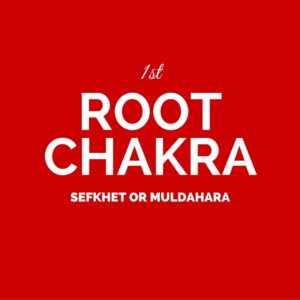 Chakra Focus Guides, Root Chakra