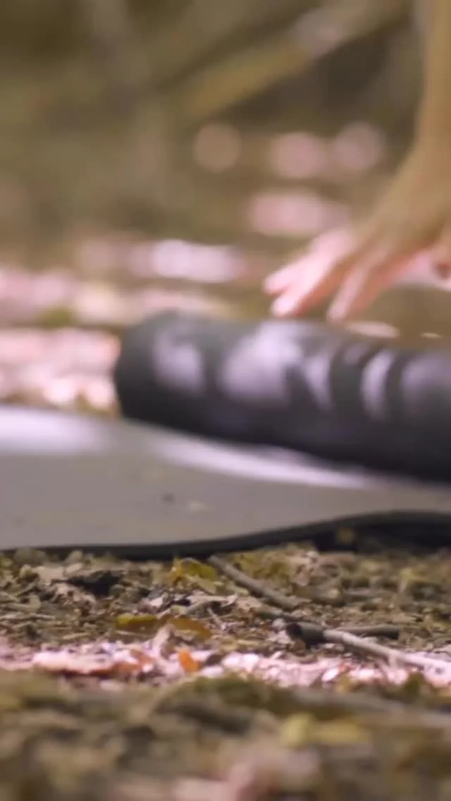 Feminine energy isn’t aesthetic. 
.
“The soft life is the fruit of a curated existence. One where she’s handpicked what stays and what goes based on its energetic contribution or debt to her serenity. 
She’s swiped left on chaos and right on calm, choosing what nourishes her nervous system , her joy and her sense of safety. While saying no to what doesn’t .”
~yen 
.
.
.
.
Follow @yennefermaat 
..
#softlife #feminineembodiment #journalgirl #wellnessjourney #selfcare #awakeningwomen #curatedexistence #energeticalignment #bodytemple #sacredroutine